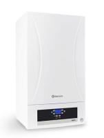 Газовый котел THERMEX Hydra 24